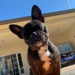 Meet your Posher, James